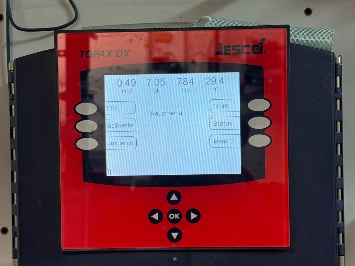 WhatsApp Image 2026-02-05 at 6.17.39 PM (1)