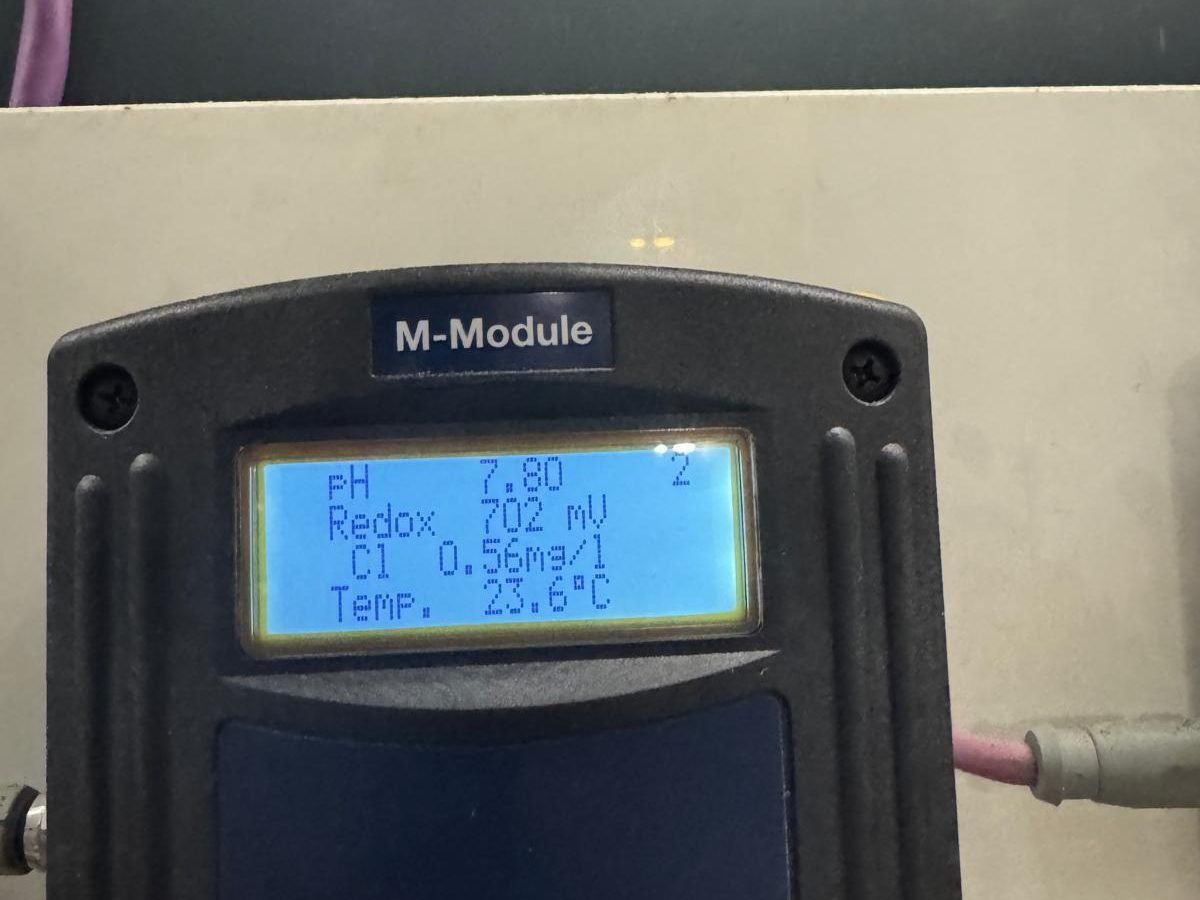 WhatsApp Image 2026-02-05 at 6.23.54 PM