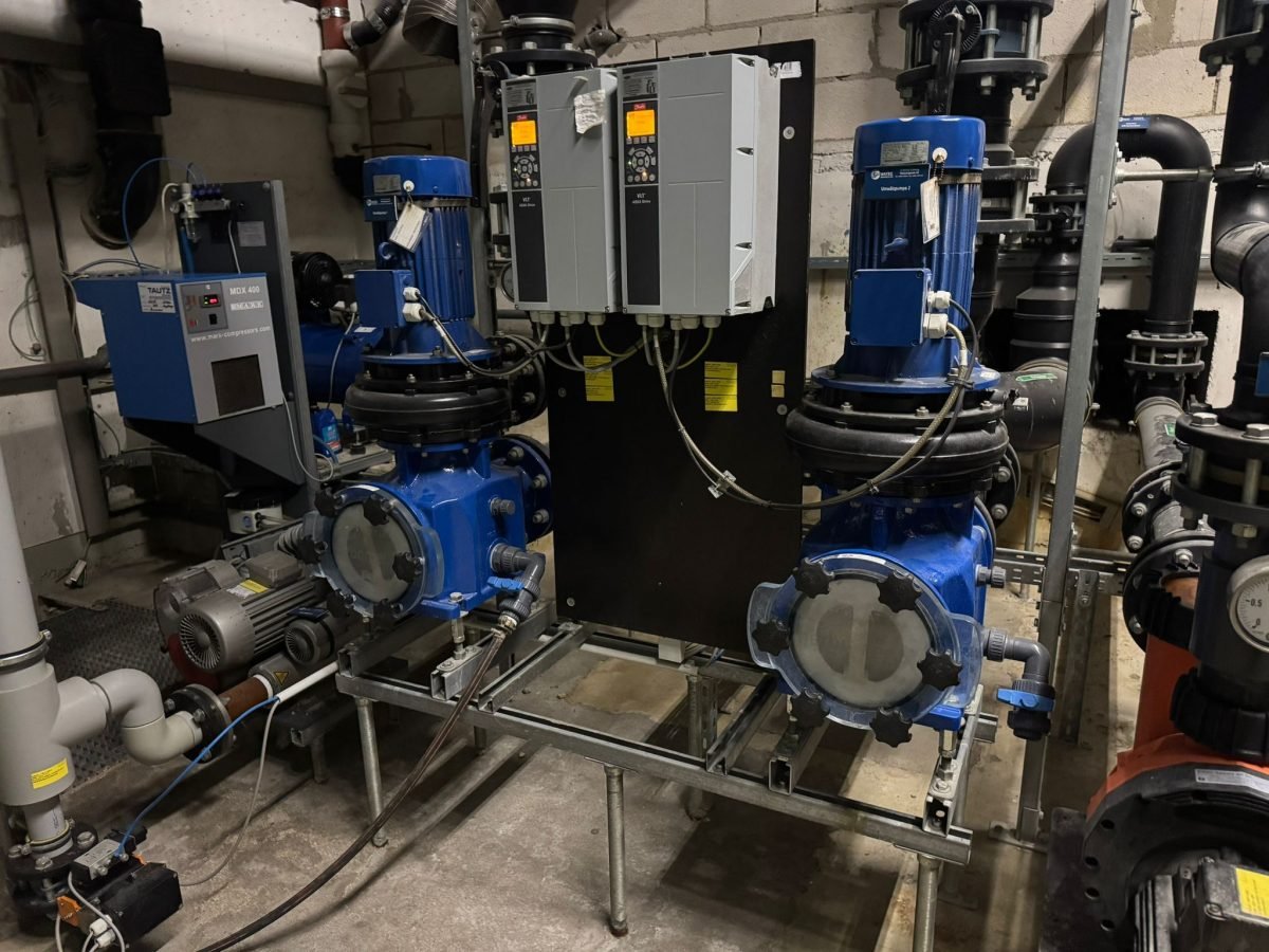 WhatsApp Image 2026-02-08 at 2.17.58 PM (1)